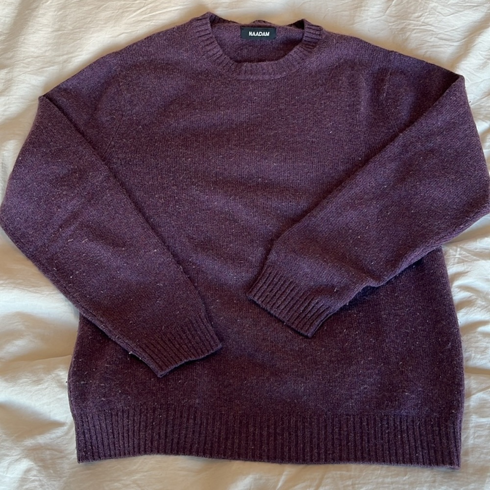 Naadam men’s purple cashmere sweater